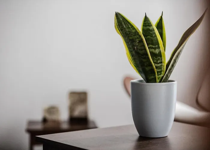 Dream On A Wave Holiday home *