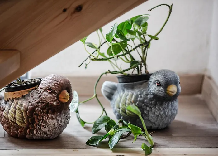 Dream On A Wave Skiathos