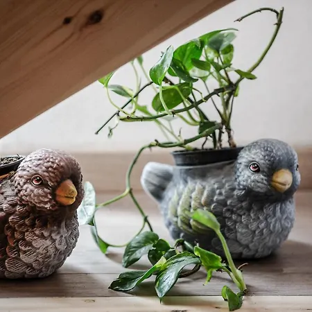 Dream On A Wave Skiathos Chora